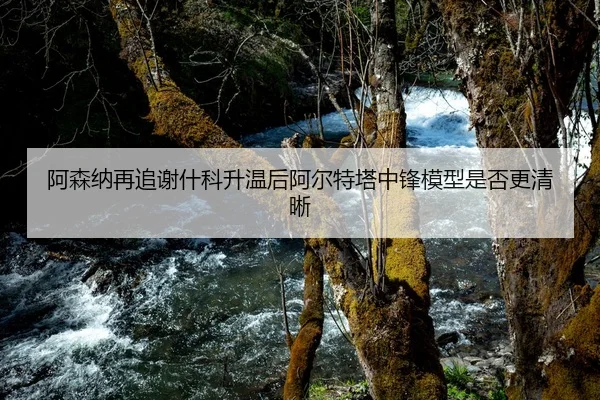 阿森纳再追谢什科升温后阿尔特塔中锋模型是否更清晰