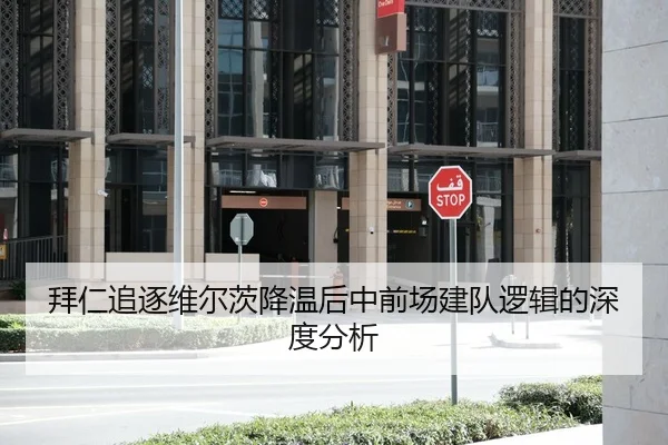 拜仁追逐维尔茨降温后中前场建队逻辑的深度分析