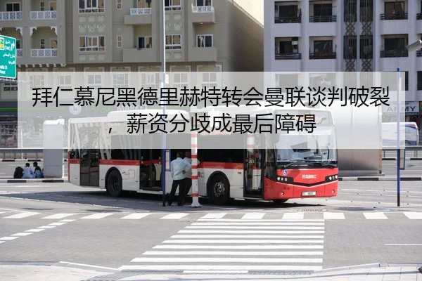 bai-ren-mu-ni-hei-de-li-he-te-zhuan-hui-man-lian-tan-pan-po-lie-xin-zi-fen-qi-cheng-zui-hou-zhang-ai-3-481.jpg