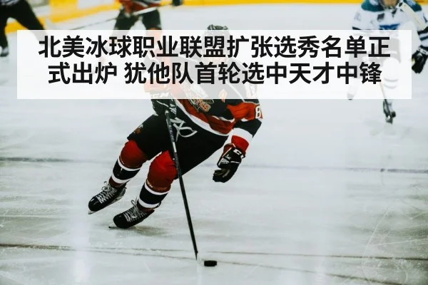 北美冰球职业联盟扩张选秀名单正式出炉 犹他队首轮选中天才中锋